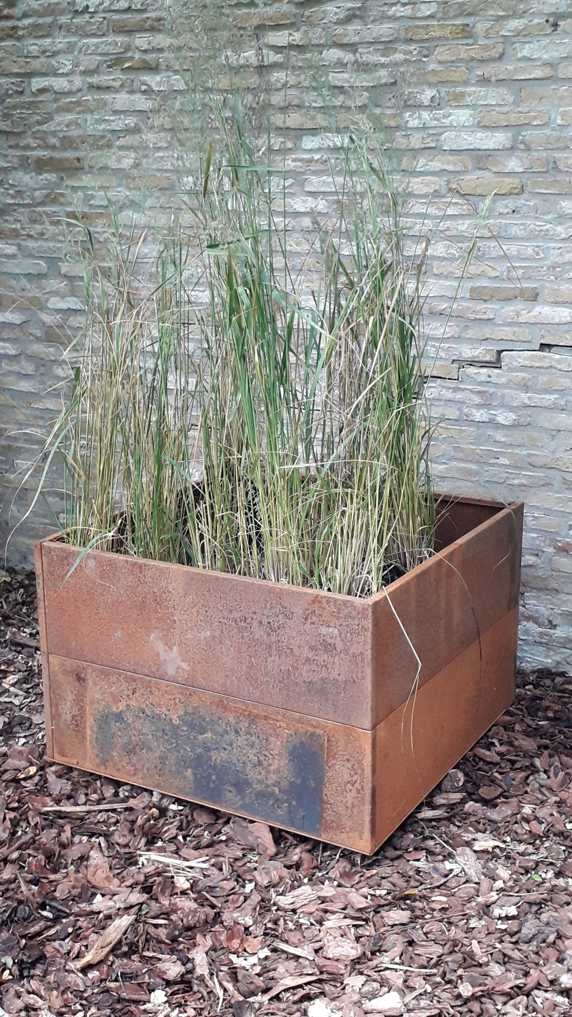 Raised bed raw iron(rust) W40xL80xH50 no base