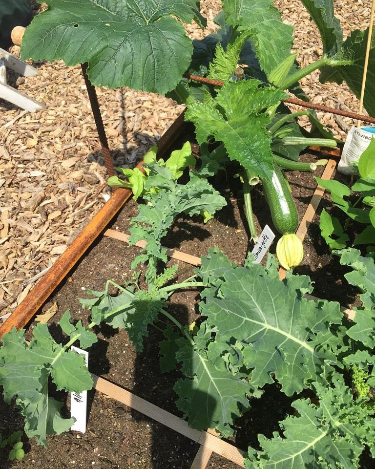 Raised bed Raw iron(rust) W120xL238xH80 no base