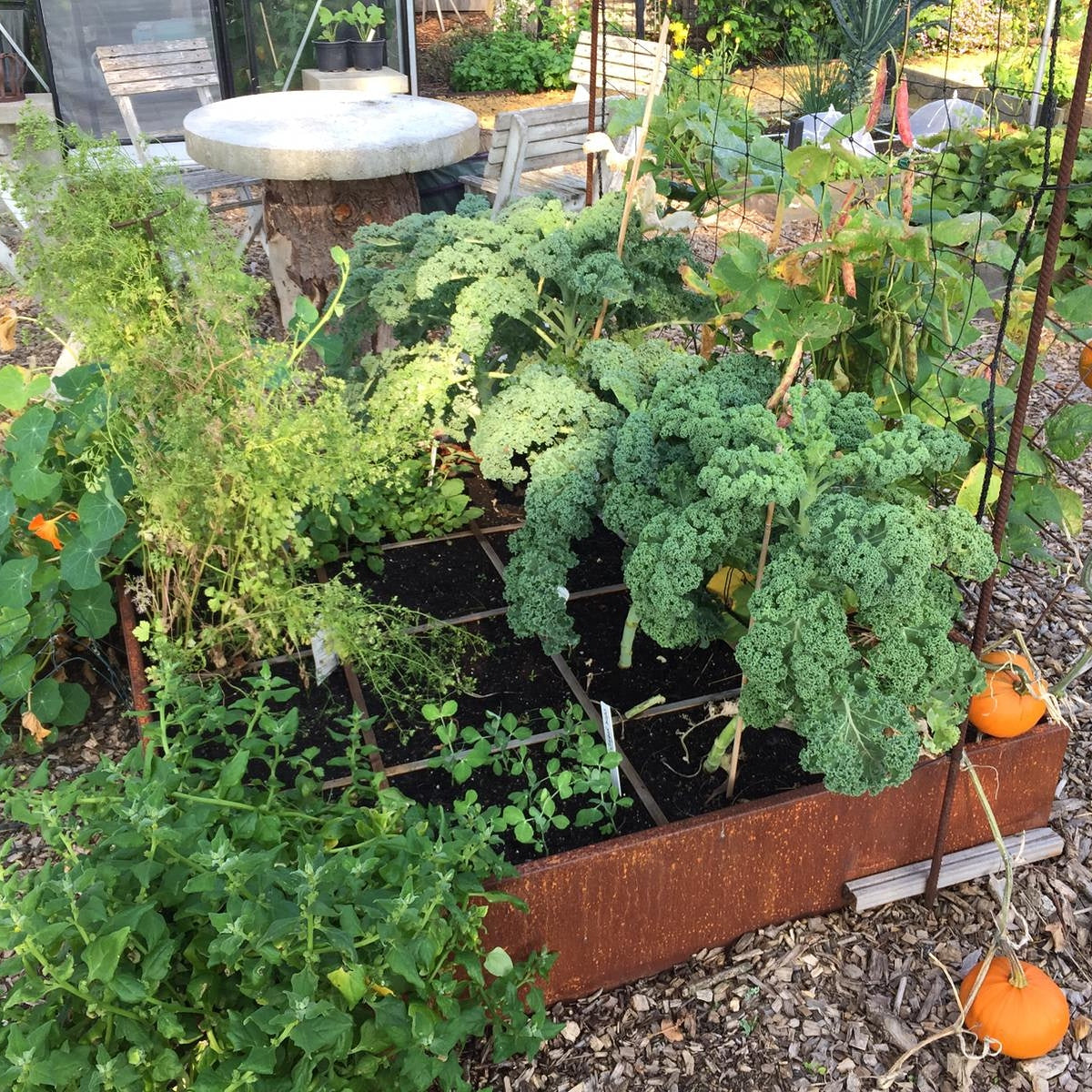 Raised bed raw iron(rust) W40xL60xH80 no base