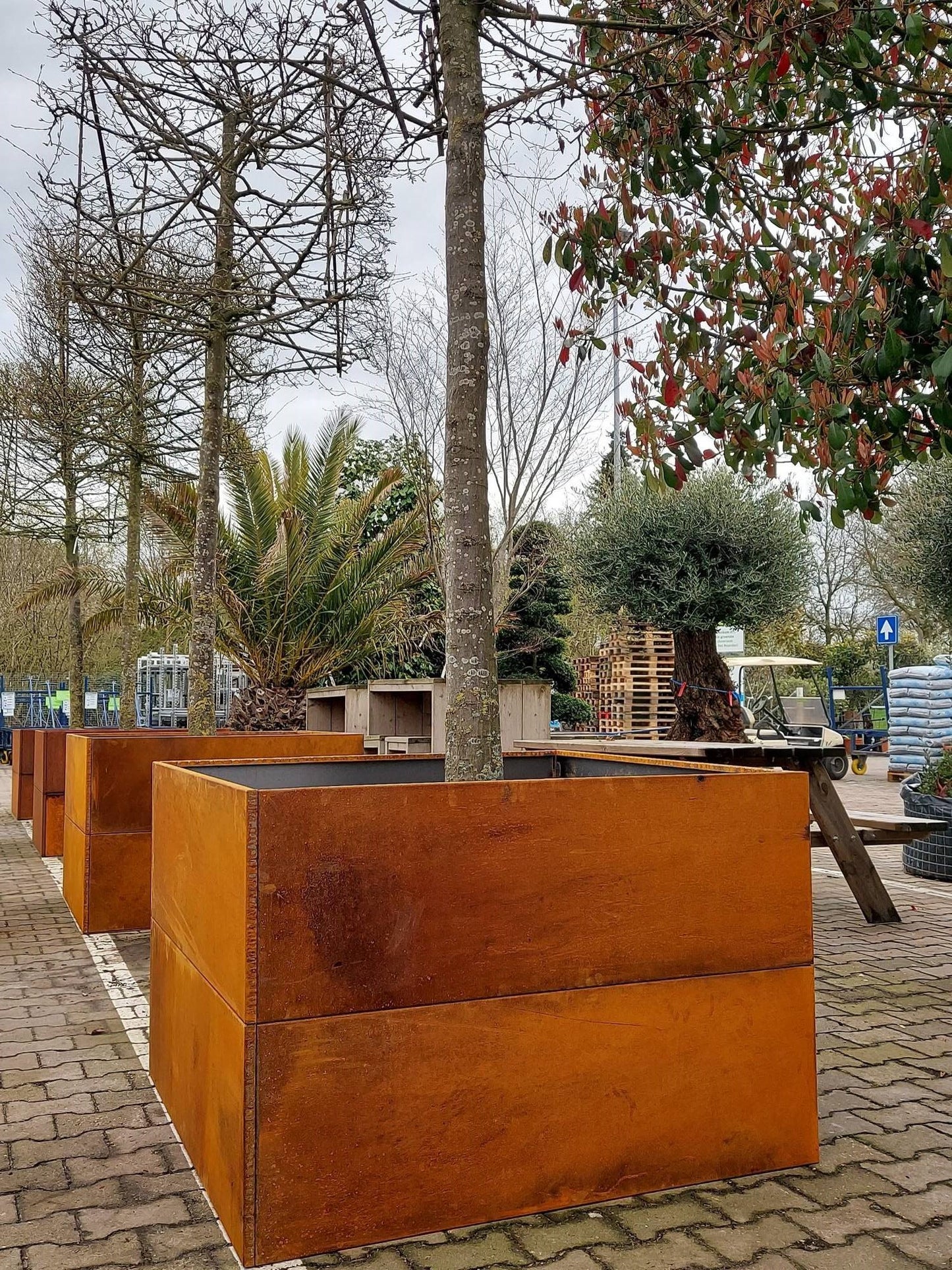 Raised bed Corten steel(rust) W120xL120xH80 no base