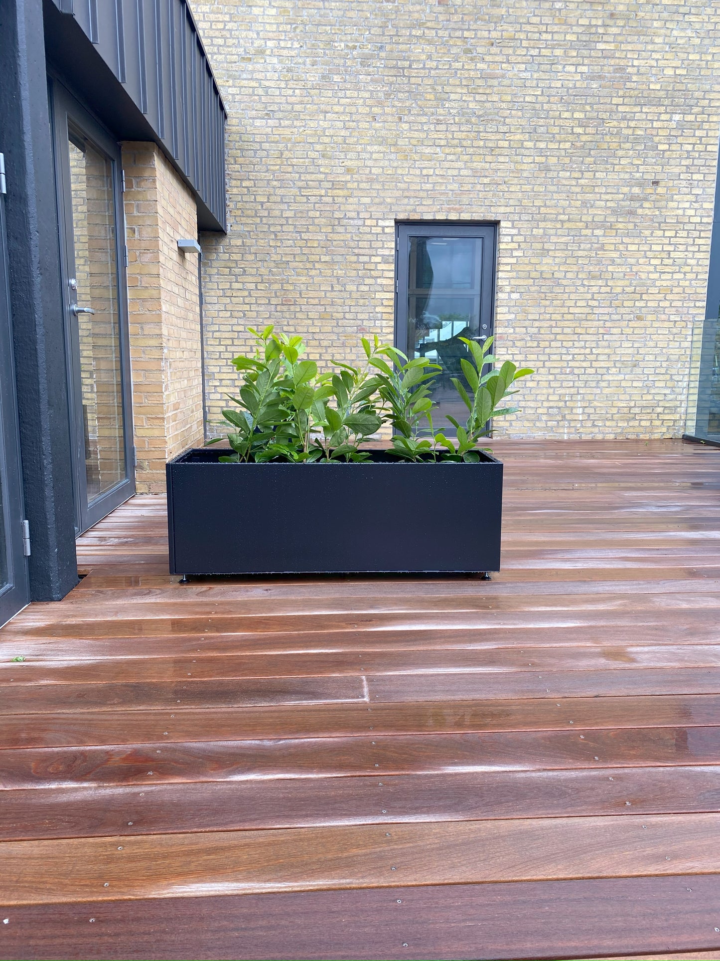 Sort plantekasse B40xL60xH80 på ben