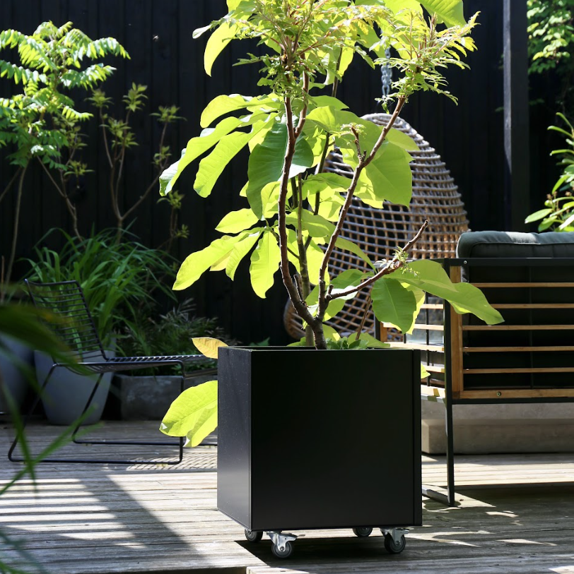 Black planter in aluminium