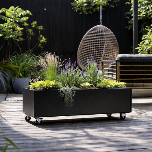Planter Classic 60x80 H25cm On Wheels/Legs