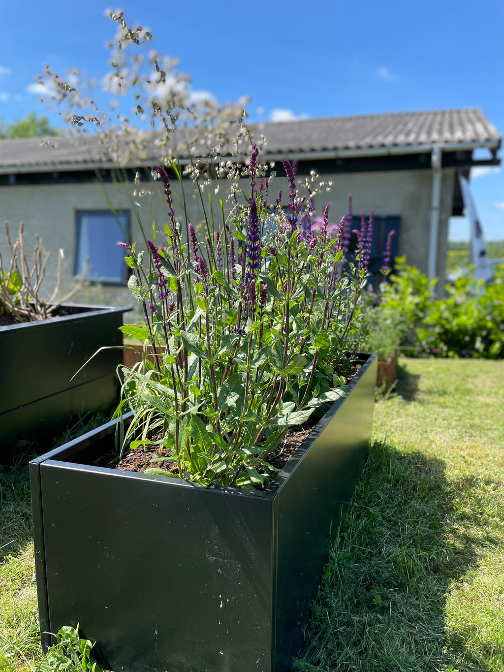 Planter PRO Graphite Black W45xL205xH50 No Base