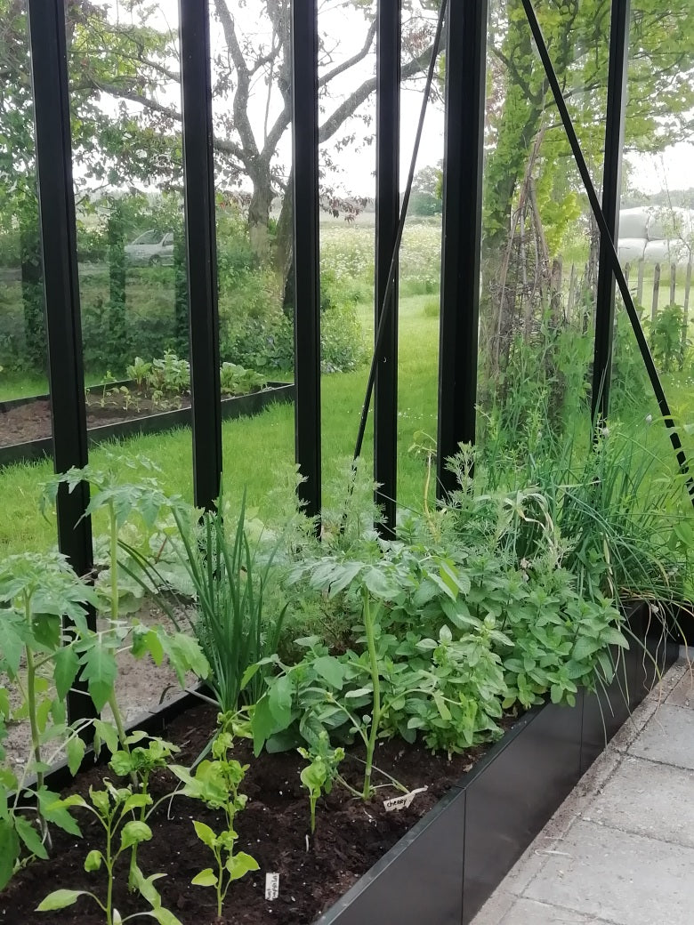 Planter Black W50xL90xH31 with wheels (f. self watering unit)