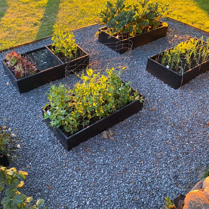 Sort højbed B120xL120xH25 uden bund