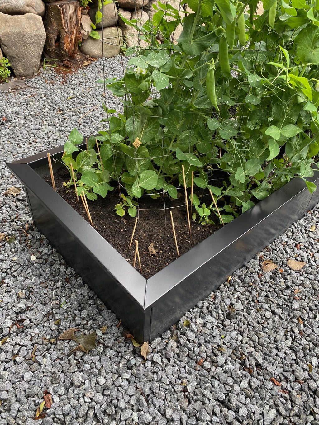 Sæt med sneglekanter i sort alu 60x60cm