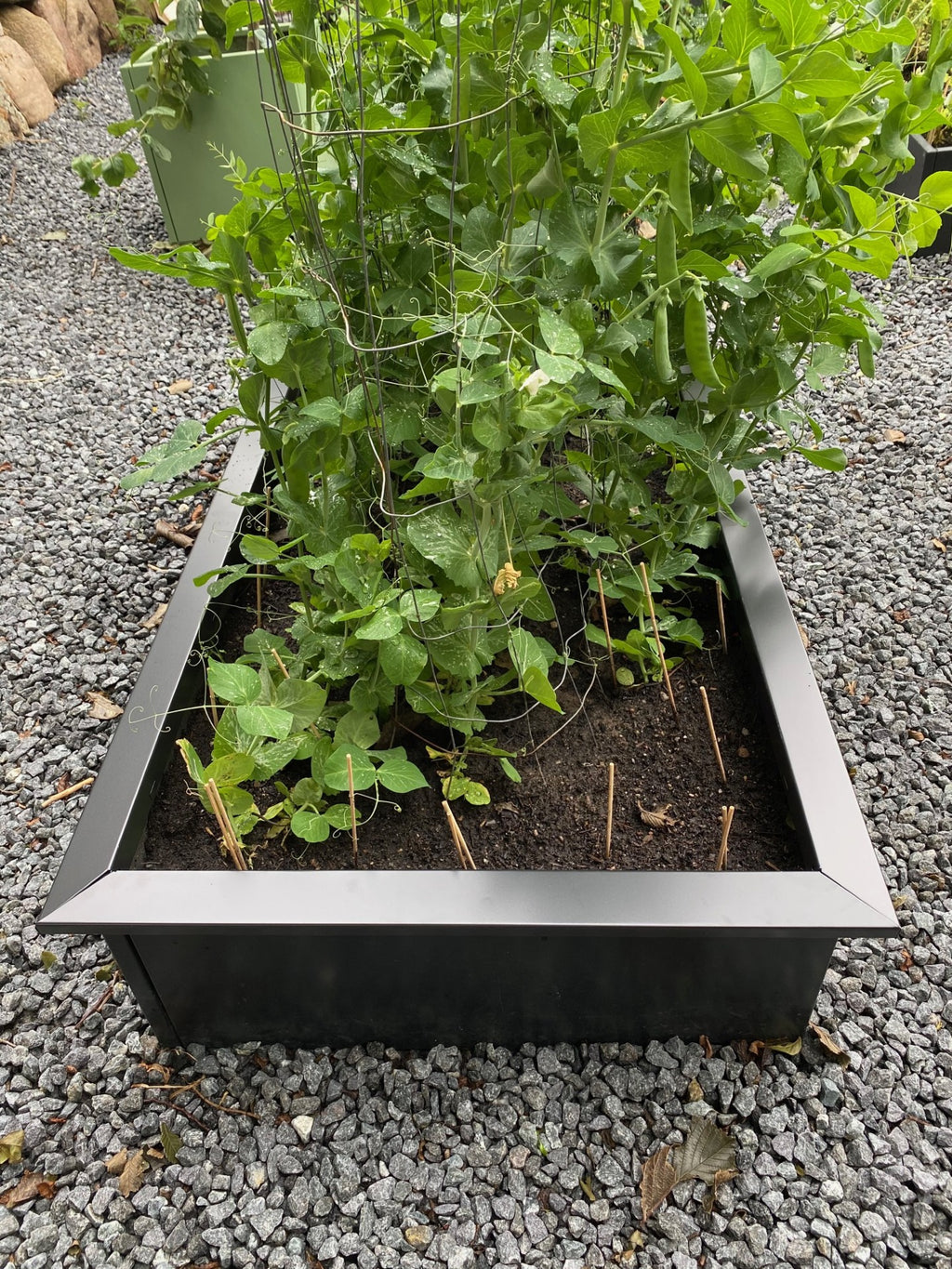 Sæt med sneglekanter i sort alu 60x60cm