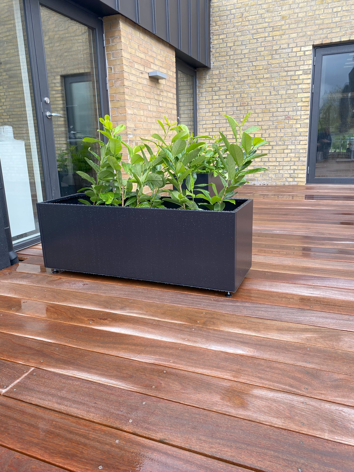 Planter Black W40xL120xH80 on legs