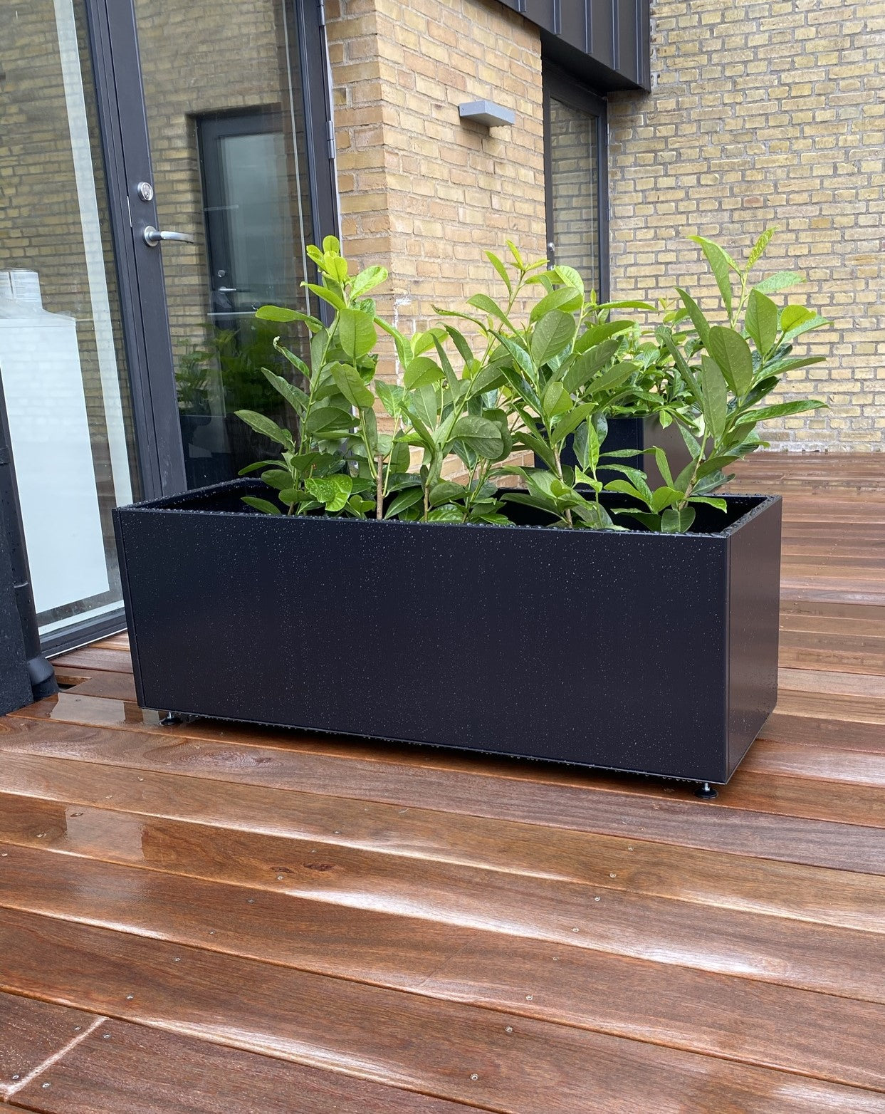 Planter Black W25xL120xH40 on legs